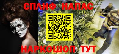 крисы Краснознаменск