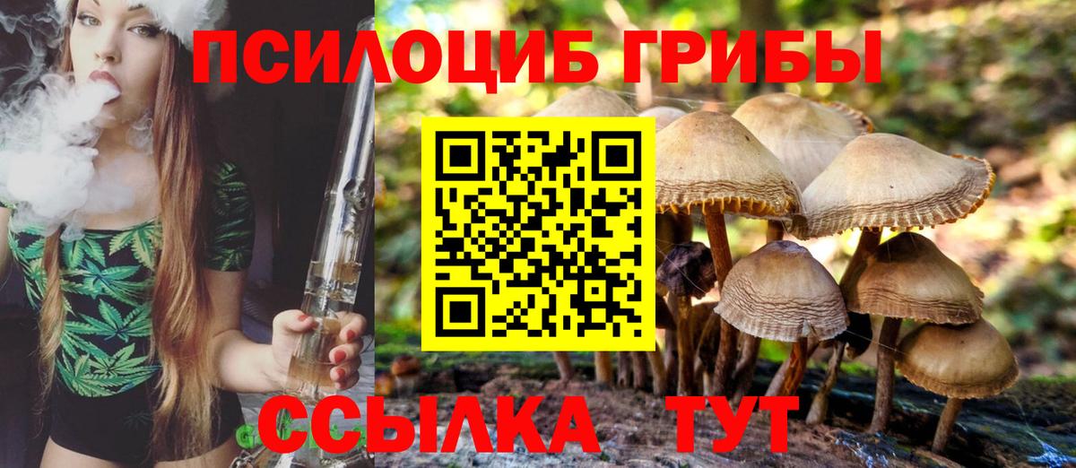Галлюциногенные грибы Cubensis  Вход с VPN  Кемерово 